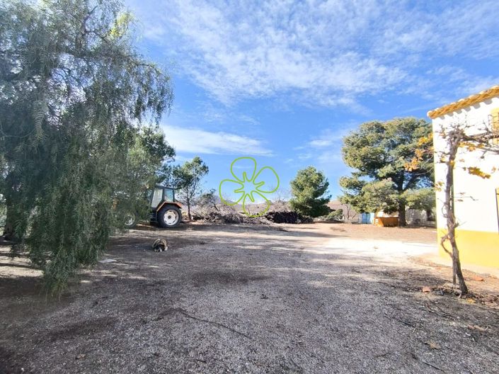 Image No.18-4 Bed Cortijo for sale