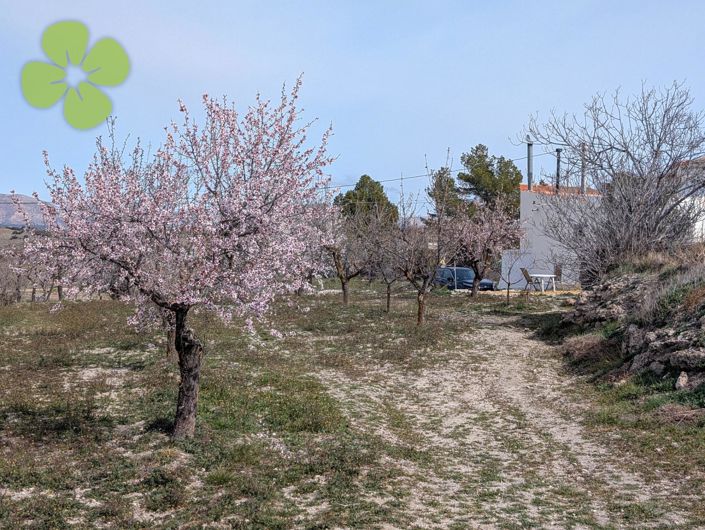 Image No.17-3 Bed Country House for sale