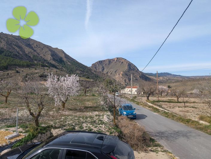 Image No.19-3 Bed Country House for sale