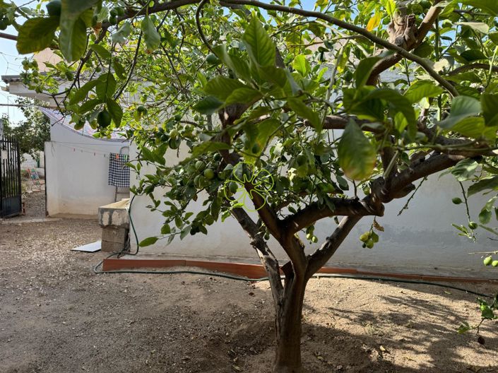 Image No.21-Maison de village de 4 chambres à vendre à Zurgena