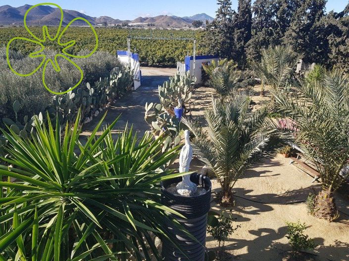 Image No.19-4 Bed Country House for sale