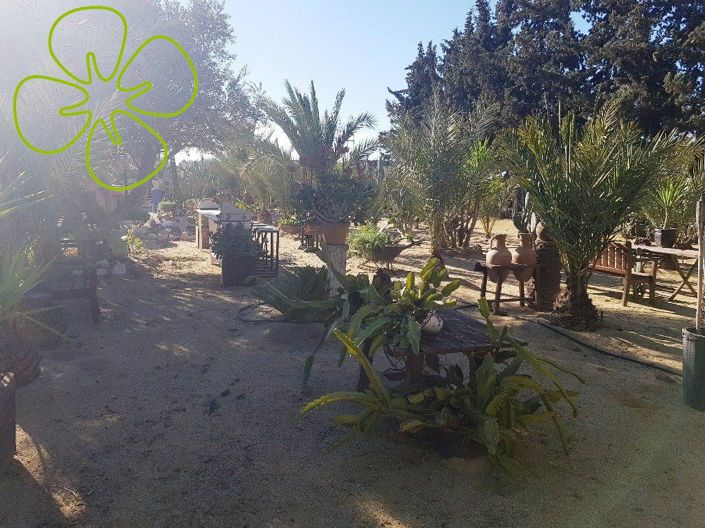 Image No.27-4 Bed Country House for sale