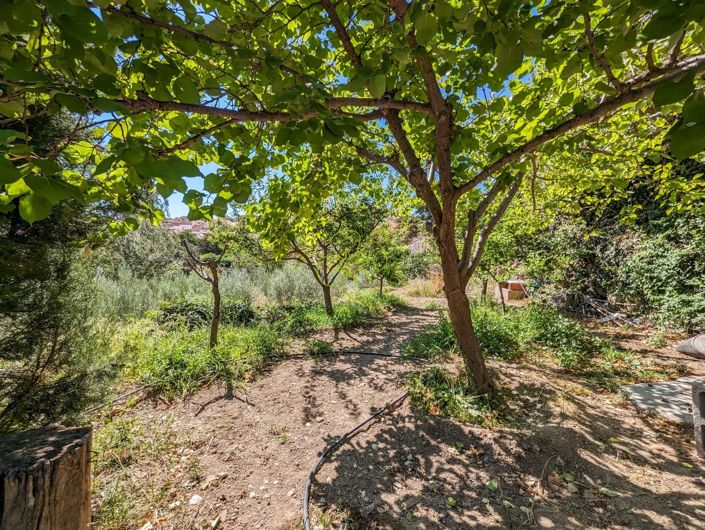 Image No.29-3 Bed Country House for sale