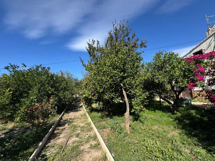 Image No.25-Maison de campagne de 5 chambres à vendre à Cantoria