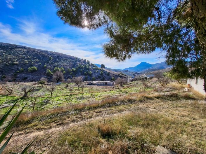 Image No.28-4 Bed Country House for sale