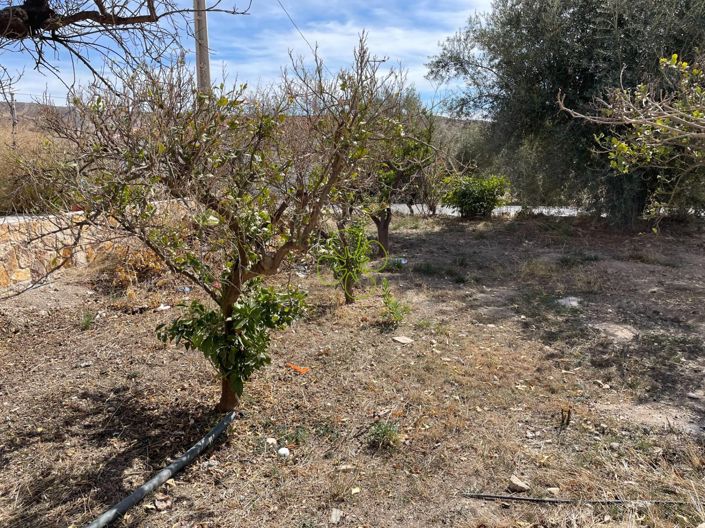 Image No.28-Maison de campagne de 7 chambres à vendre à Albox