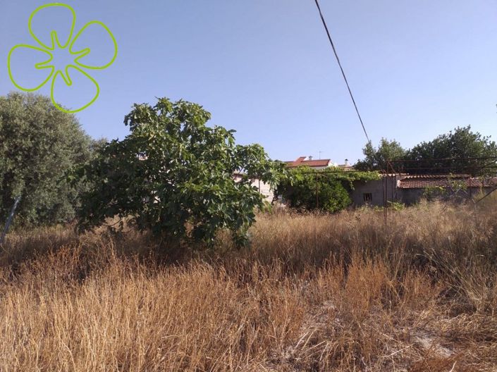 Image No.23-4 Bed Country House for sale