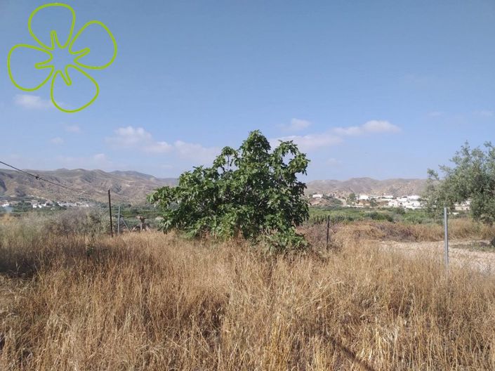 Image No.24-4 Bed Country House for sale