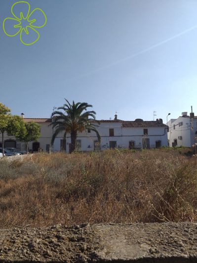 Image No.26-4 Bed Country House for sale