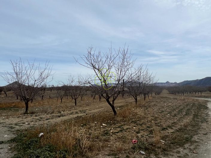 Image No.26-4 Bed Country House for sale