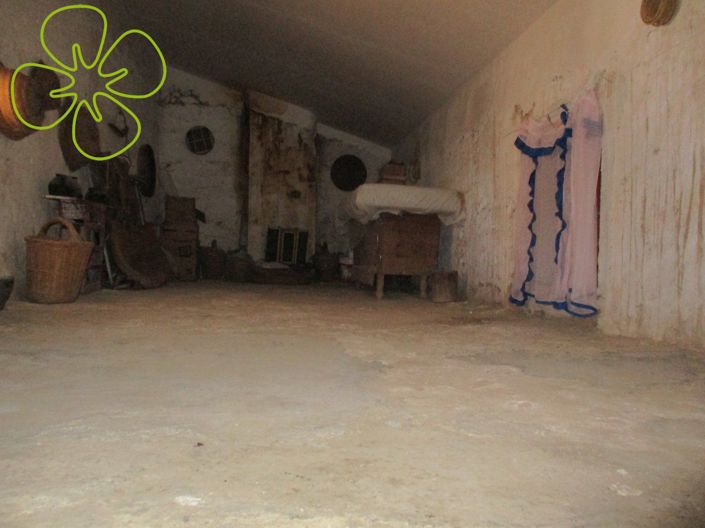 Image No.21-3 Bed Country House for sale