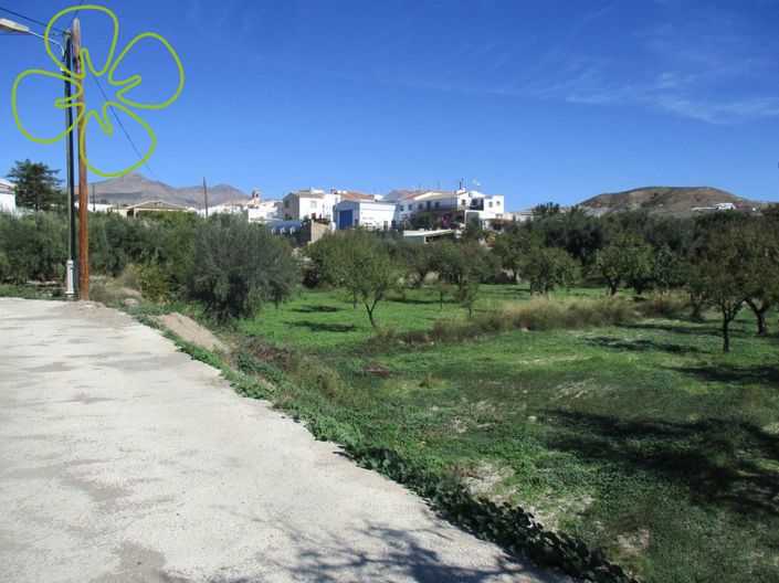 Image No.22-3 Bed Country House for sale