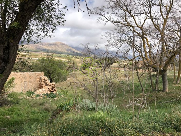 Image No.10-2 Bed Country House for sale