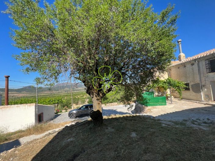 Image No.18-4 Bed Country House for sale