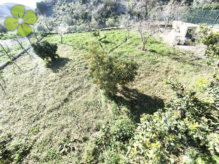 Image No.27-4 Bed Country House for sale