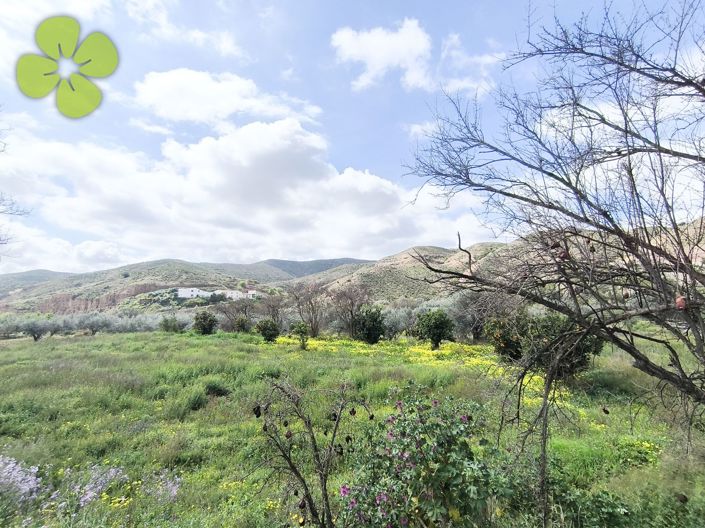 Image No.19-6 Bed Country House for sale