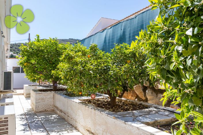 Image No.28-3 Bed Villa for sale