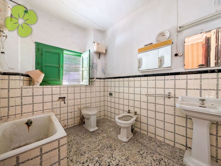 Image No.19-4 Bed Village House for sale