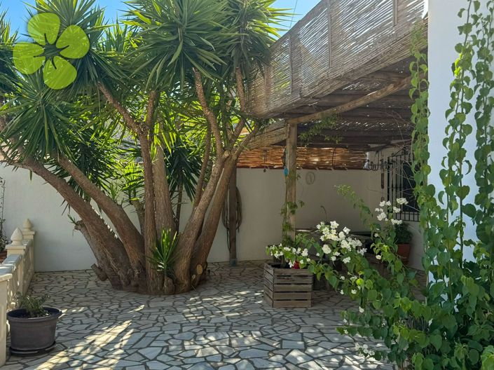Image No.3-4 Bed Country House for sale