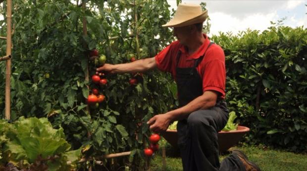 Image No.7-15 Bed Villa for sale