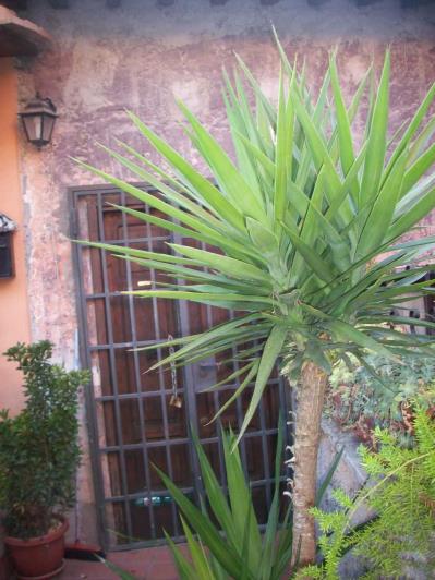 Image No.29-3 Bed Property for sale