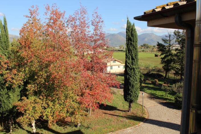 Image No.8-8 Bed Country House for sale