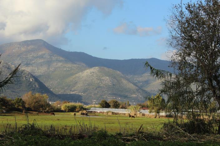 Image No.26-8 Bed Country House for sale