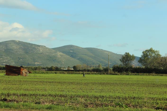 Image No.25-8 Bed Country House for sale