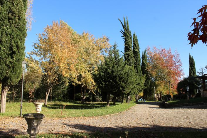 Image No.12-8 Bed Country House for sale