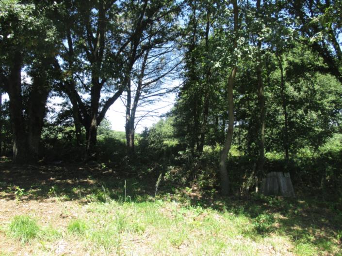 Image No.20-4 Bed Country House for sale