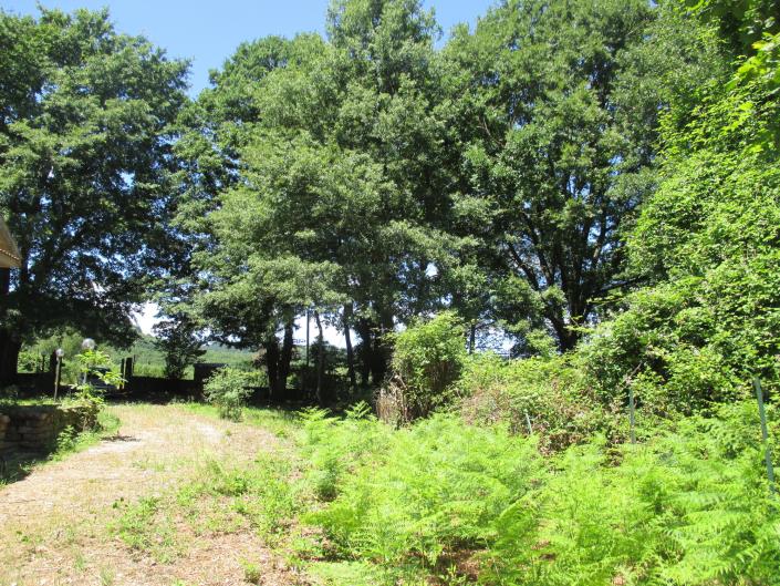 Image No.2-4 Bed Country House for sale