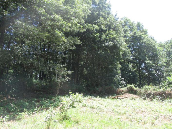 Image No.6-4 Bed Country House for sale