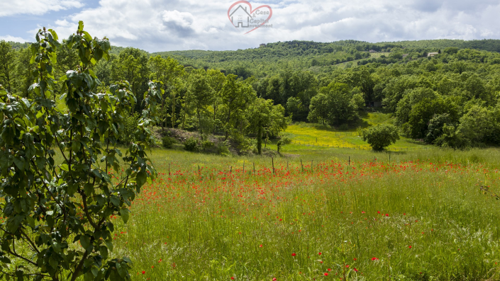 Image No.11-2 Bed Country House for sale