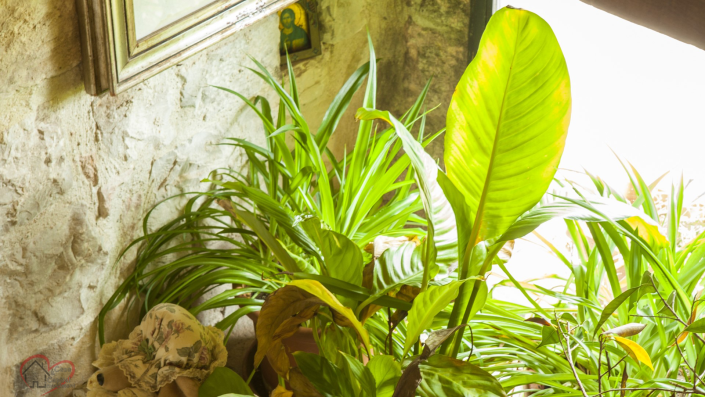 Image No.15-2 Bed Country House for sale