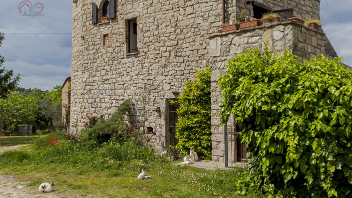 Image No.1-2 Bed Country House for sale