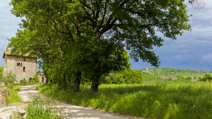 Image No.4-2 Bed Country House for sale