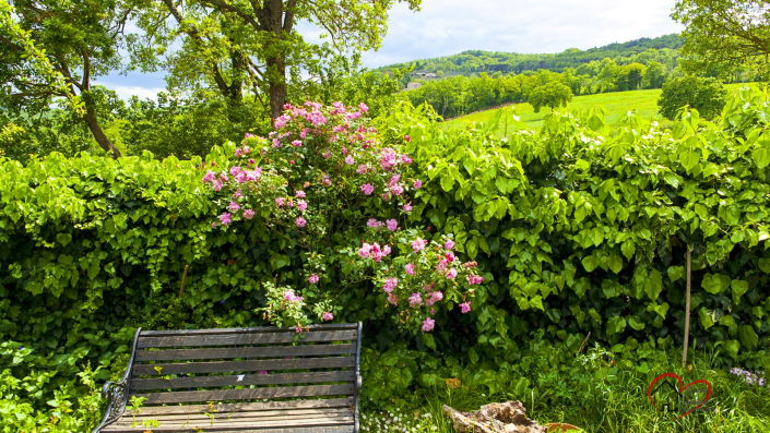 Image No.7-2 Bed Country House for sale