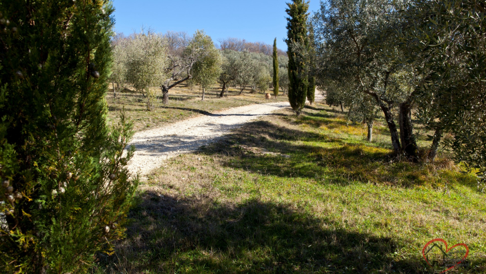 Image No.22-5 Bed Country Property for sale