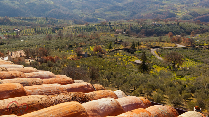 Image No.11-5 Bed Country Property for sale