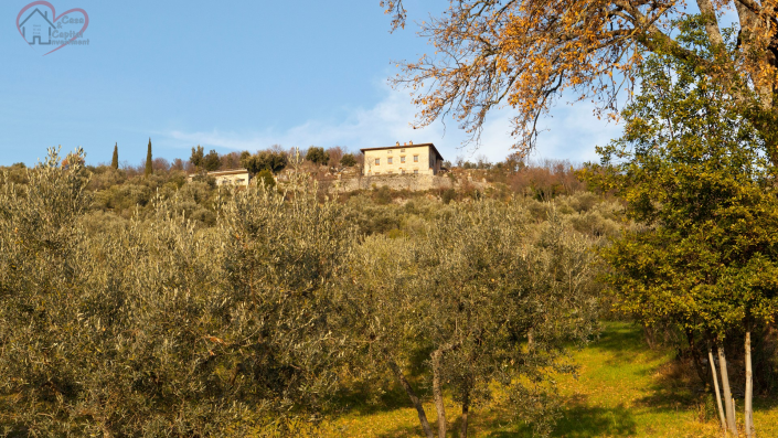 Image No.10-5 Bed Country Property for sale