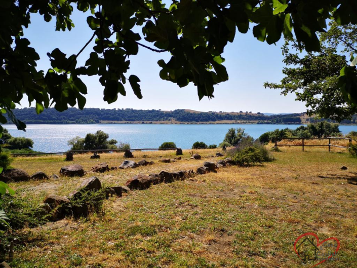 Image No.5-7 Bed Country House for sale