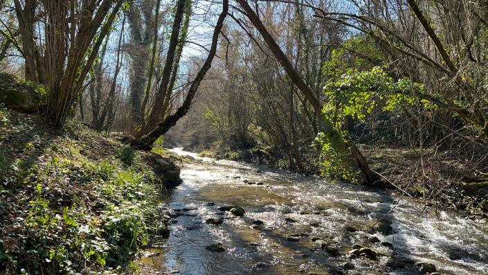 Image No.4-2 Bed House/Villa for sale