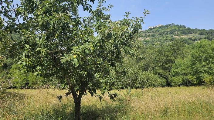 Image No.24-2 Bed House/Villa for sale