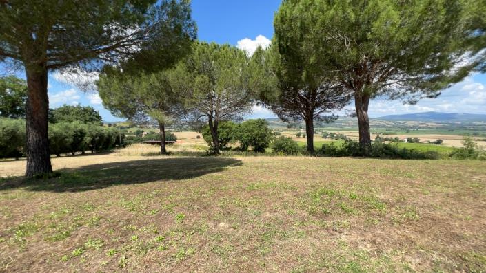 Image No.38-Ferme de 7 chambres à vendre à Scansano