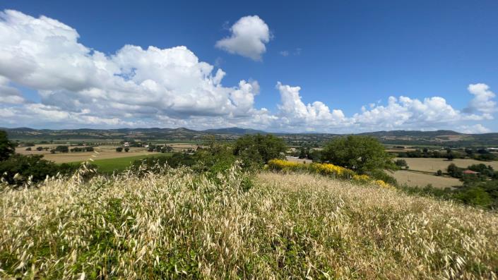 Image No.41-Ferme de 7 chambres à vendre à Scansano