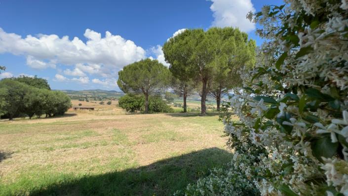 Image No.12-Ferme de 7 chambres à vendre à Scansano