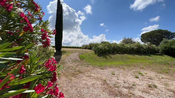 Image No.16-Ferme de 7 chambres à vendre à Scansano