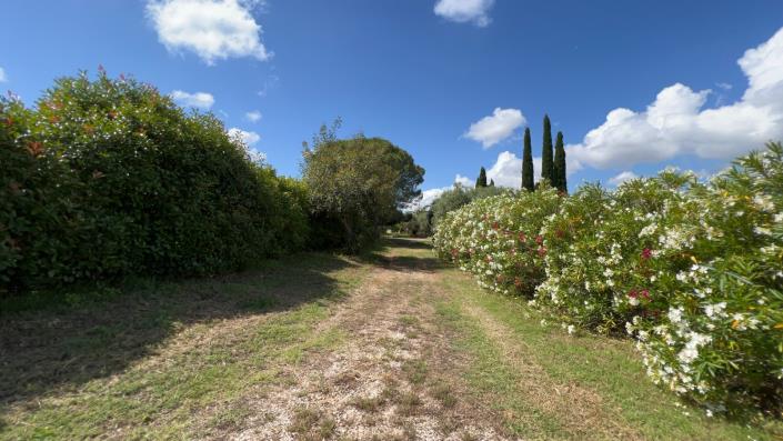 Image No.42-Ferme de 7 chambres à vendre à Scansano