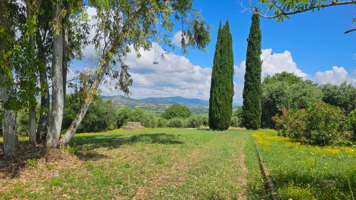 Image No.54-Ferme de 7 chambres à vendre à Scansano