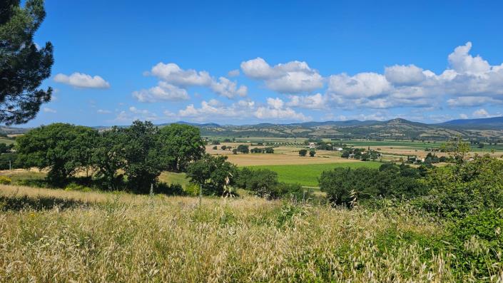 Image No.57-Ferme de 7 chambres à vendre à Scansano